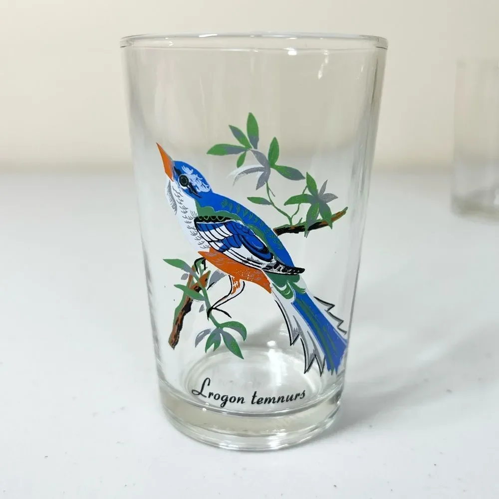VTG 60’s Kig Malaysia Exotic Tropical Bird Glasses Set of 6